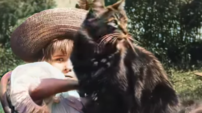 Little girl and cat in 1896 film, updated to modern video standards.
