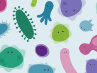 Cartoon rendering of the human gut microbiome.