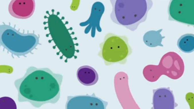 Cartoon rendering of the human gut microbiome.